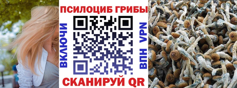 Псилоцибиновые грибы Magic Shrooms  Барабинск 