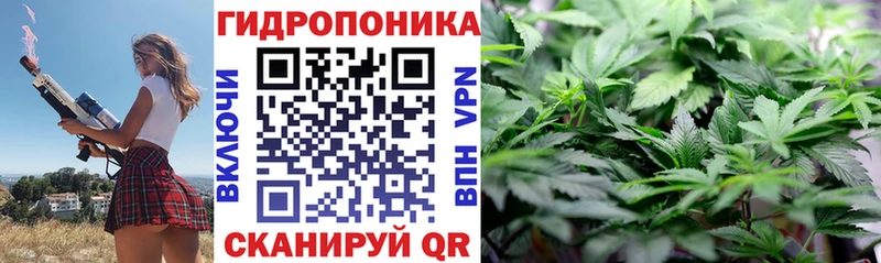 гидра ССЫЛКА  Барабинск  Бошки марихуана Ganja  где найти наркотики 